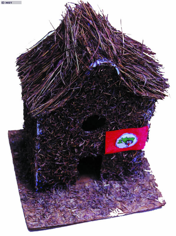 <em>O legado do MST - uma casa-ninho</em><br />(O MST propiciou a  ...
