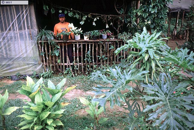 Casa de um dos agricultores em Garuva, Santa Catarina