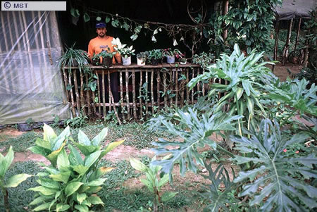 O tamanho do arquivo da pr&oacute;xima imagem &eacute; 
116890                 Bytes