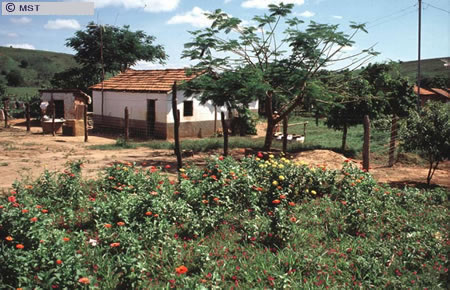 O tamanho do arquivo da pr&oacute;xima imagem &eacute; 
116348                 Bytes