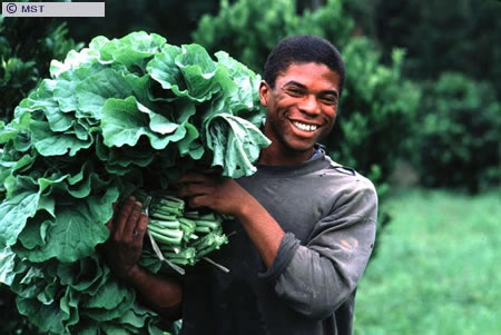 O tamanho do arquivo da pr&oacute;xima imagem &eacute; 
64915                 Bytes