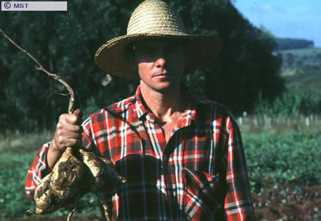 O tamanho do arquivo da pr&oacute;xima imagem &eacute; 
57035                 Bytes