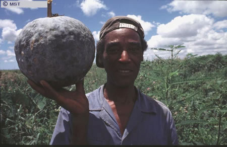 O tamanho do arquivo da pr&oacute;xima imagem &eacute; 
54609                 Bytes