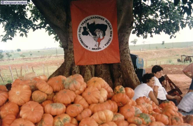 Produção de abóbora no Assentamento Santa Clara, Mirante do  ...