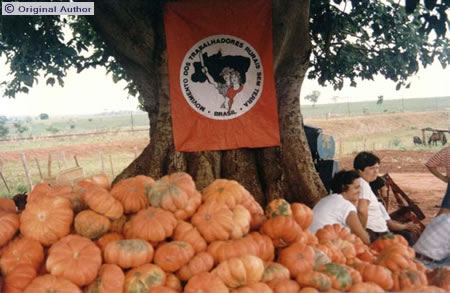 O tamanho do arquivo da pr&oacute;xima imagem &eacute; 
67424                 Bytes