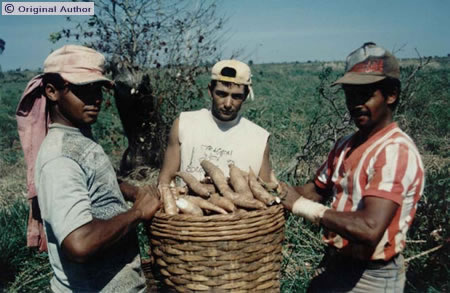 O tamanho do arquivo da pr&oacute;xima imagem &eacute; 
72158                 Bytes