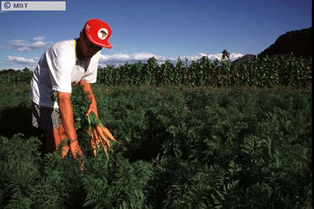 O tamanho do arquivo da pr&oacute;xima imagem &eacute; 
55859                 Bytes