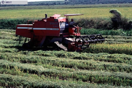 O tamanho do arquivo da pr&oacute;xima imagem &eacute; 
103898                 Bytes