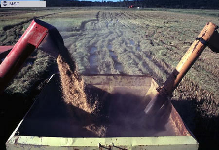 O tamanho do arquivo da pr&oacute;xima imagem &eacute; 
70913                 Bytes