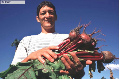 O tamanho do arquivo da pr&oacute;xima imagem &eacute; 
51794                 Bytes