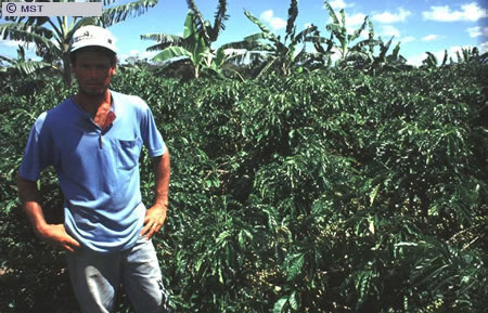 O tamanho do arquivo da pr&oacute;xima imagem &eacute; 
112662                 Bytes