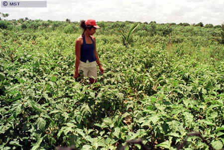 O tamanho do arquivo da pr&oacute;xima imagem &eacute; 
123026                 Bytes