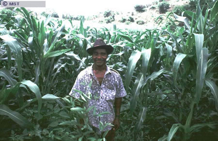 O tamanho do arquivo da pr&oacute;xima imagem &eacute; 
88158                 Bytes