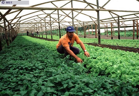 O tamanho do arquivo da pr&oacute;xima imagem &eacute; 
98451                 Bytes