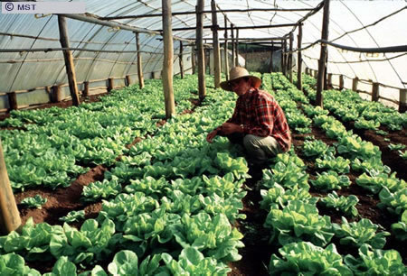 O tamanho do arquivo da pr&oacute;xima imagem &eacute; 
112726                 Bytes