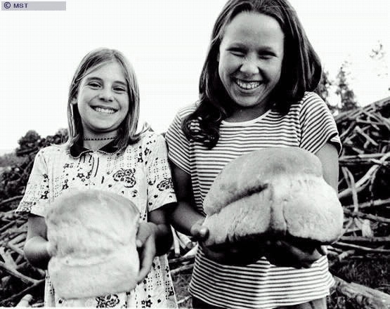 Um convite para se repartir a produção