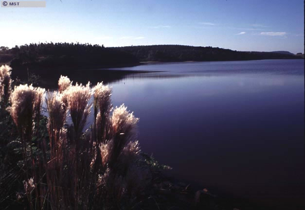 Weir in the Capela settlement, in Nova Santa Rita, Rio Grande do Sul