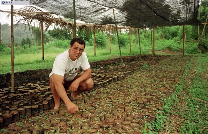 Viveiro de mudas de maracujá do assentamento São Roque, Parati, Rio  ...