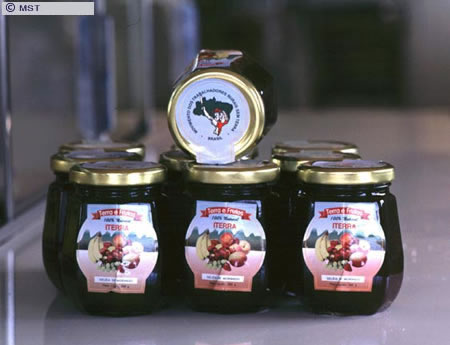 O tamanho do arquivo da pr&oacute;xima imagem &eacute; 
40233                 Bytes