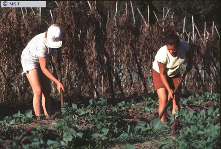 Size of next image is
87284 
                  Bytes