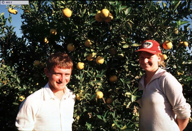 Casal Sem-Terra do Assentamento 26 de Outubro em São Miguel D'Oeste,  ...