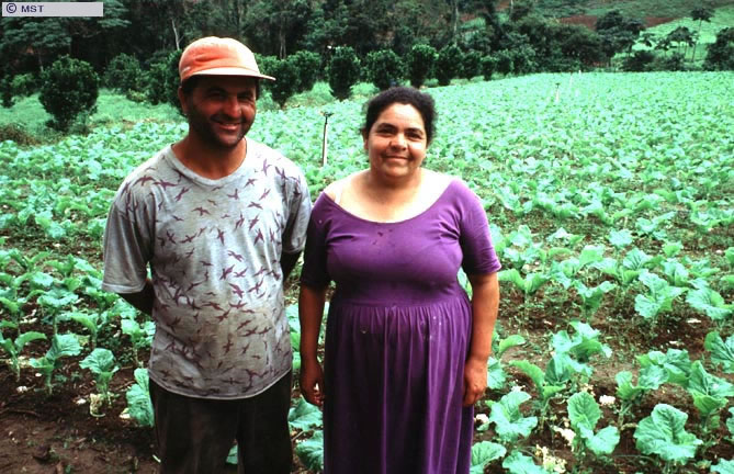 Produção familiar no assentamento Alpina, em Teresópolis, estado  ...