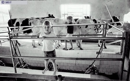 O tamanho do arquivo da pr&oacute;xima imagem &eacute; 
45962                 Bytes