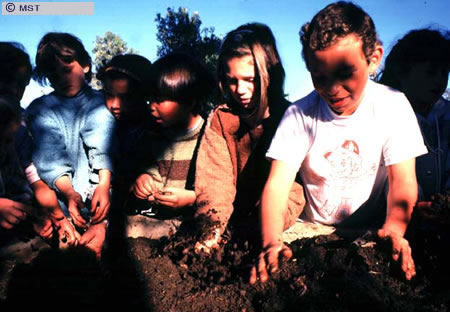 Size of next image is
56636 
                  Bytes